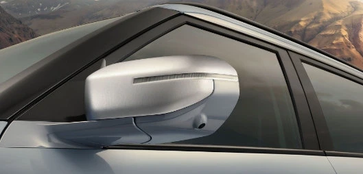Door mirror caps.