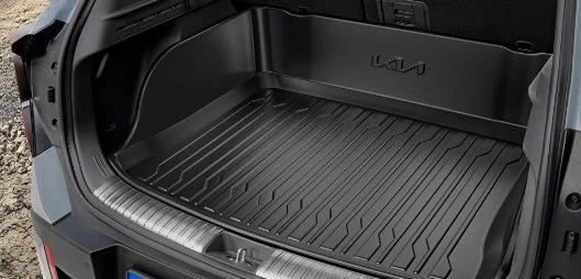 Trunk tray.